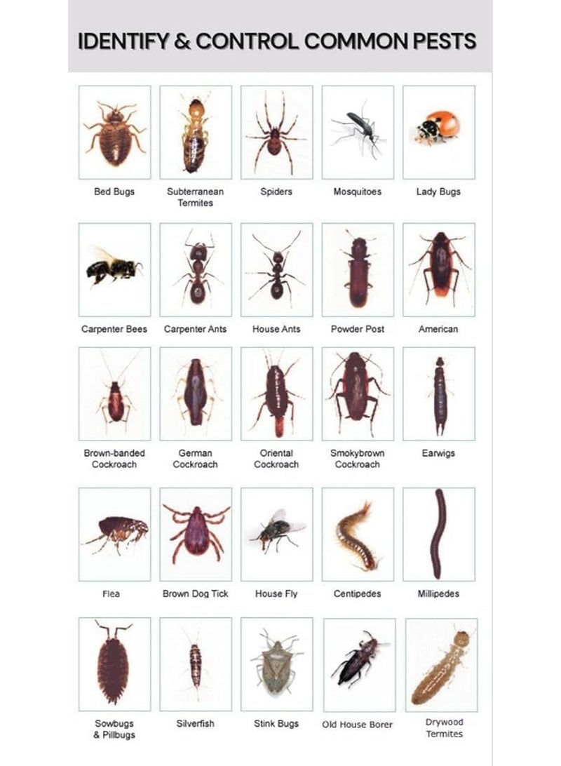 بي إيه إس إف مبيد حشري Pt Wasp Freeze II، مبيد حشري للدبابير والنحل وغيرها، 14 أونصة - Image 2